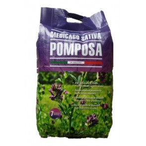 Seminte de lucerna Pomposa, 25 kg+10kg Black Friday 2026 stoc limitat