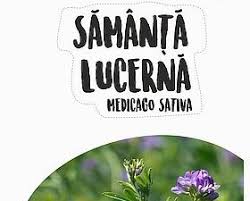 Seminte de lucerna Dobrogea, netratata , 25 kilograme+10kg Black Friday 2026 Limitat